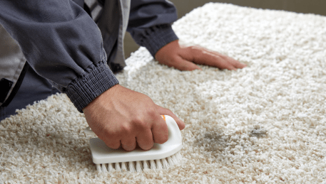 Professional Rug Cleaning Tynong
